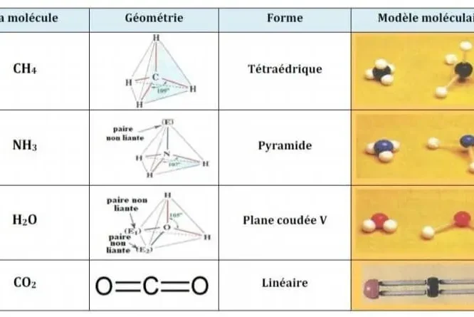 molecules TC (1)