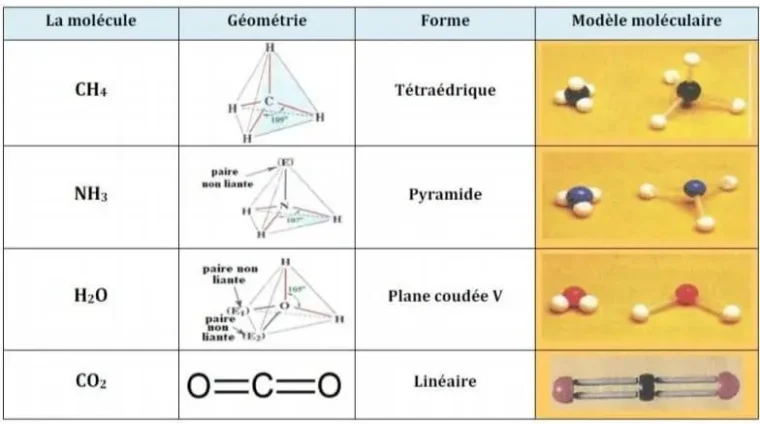 molecules TC (1)